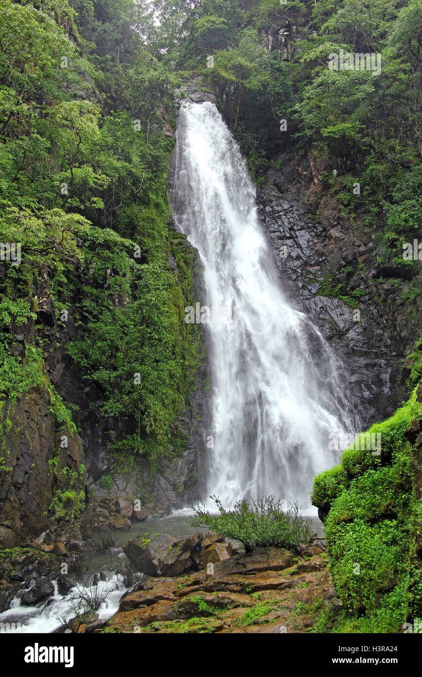 Mainapi, Mynapi, Wasserfall während der Monsunzeit im Netravali Wald von Goa, Indien. Wasserfall liegt am Fluss Salaulim. Stockfoto