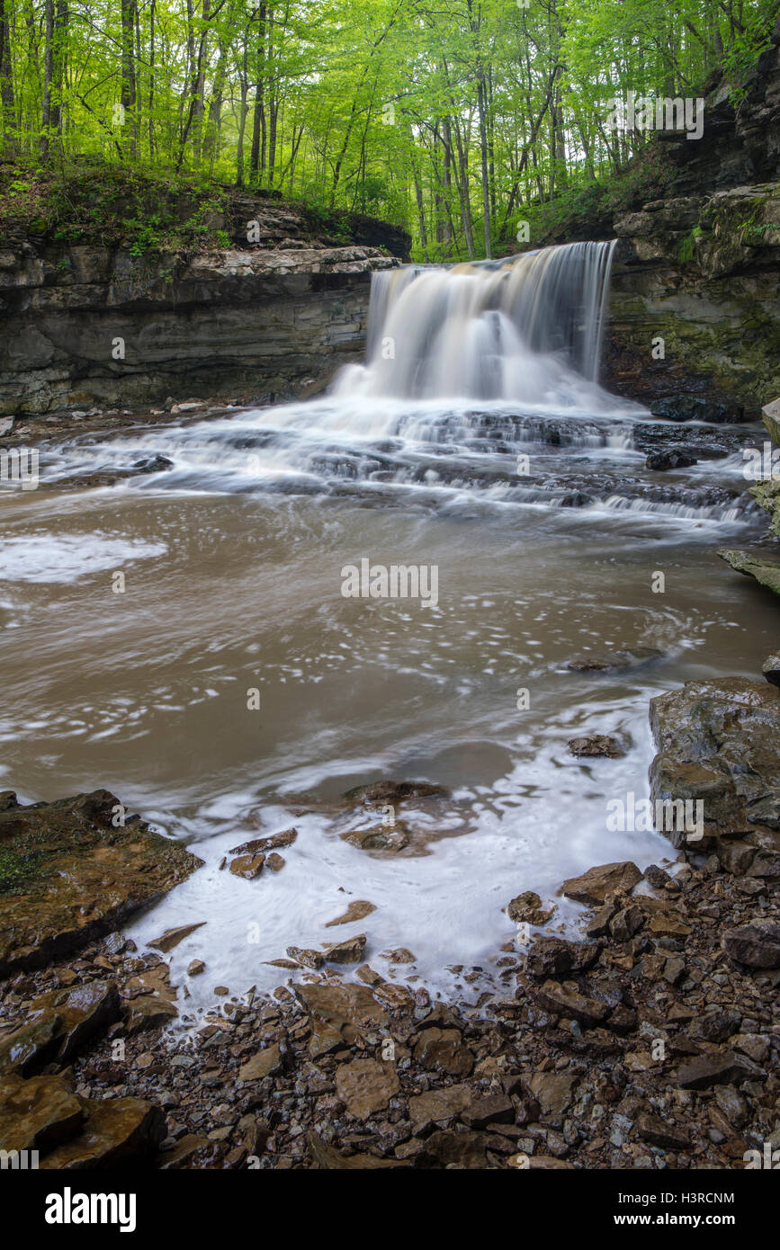 Von McCormick Creek State Park, Indiana: McCormicks Creek fällt im Frühjahr Stockfoto