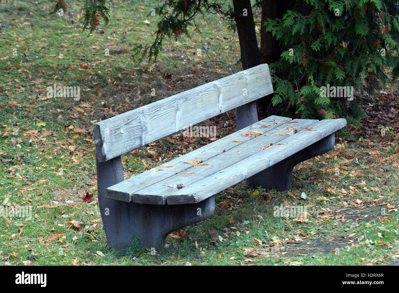 Alte leere Bank im Park. Stockfoto