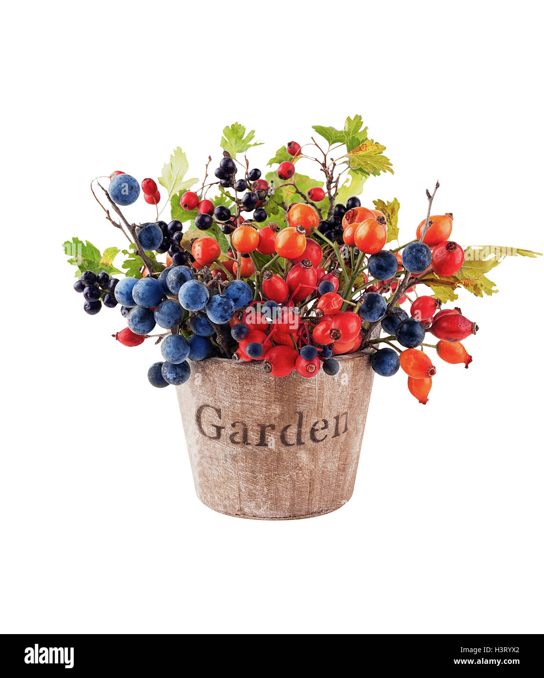 Herbstliche Waldbeeren in einen hölzernen Eimer isoliert Stockfoto