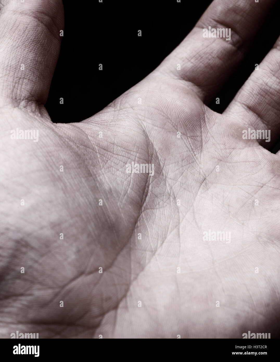 Abstrakte Nahaufnahme einer männlichen Hand Haut im inneren Mann palm Stockfoto