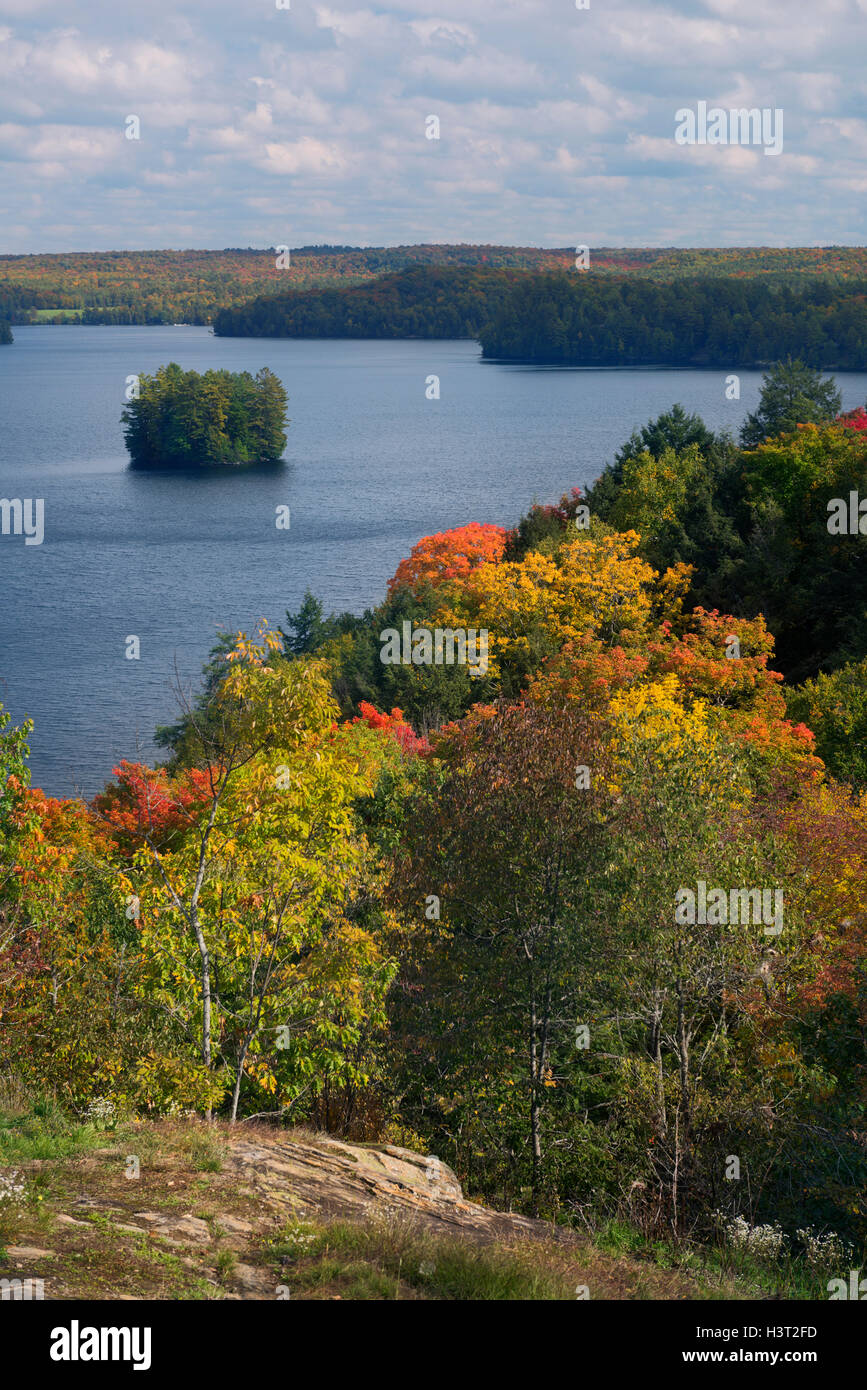 Fairy Lake im Herbst Natur Landschaft, Huntsville, Muskoka, Ontario, Kanada. Stockfoto