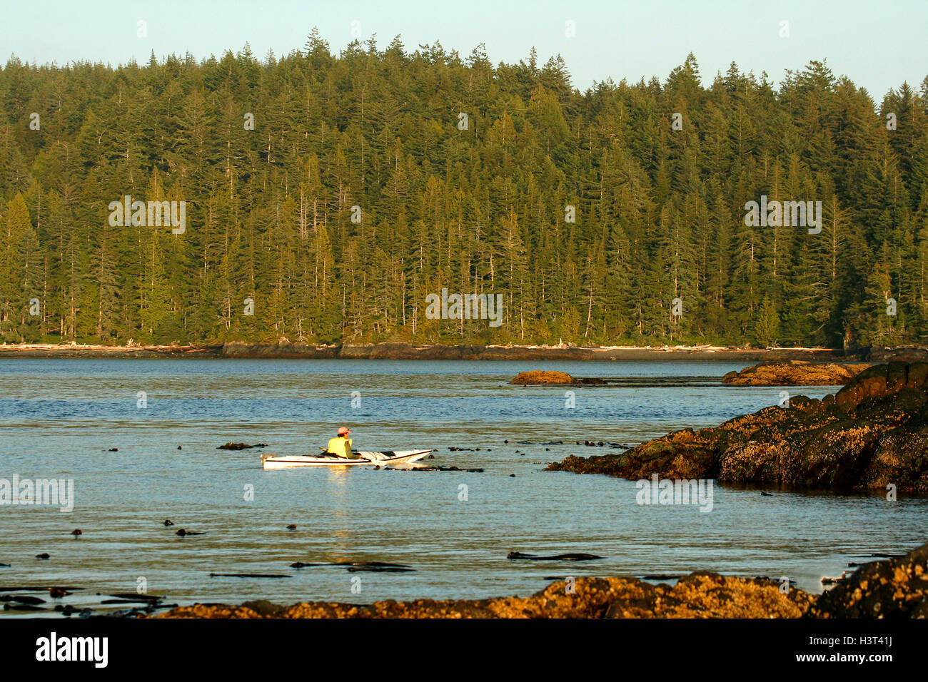 Kajakfahren in der Johnstone strait. Vancouver Island. Britisch-Kolumbien. Kanada Stockfoto