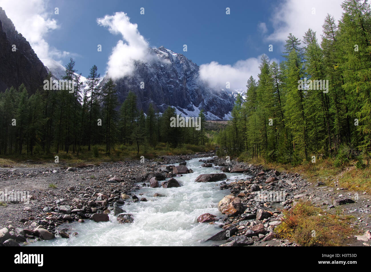 Rauhe berge Fluß im Tal umgeben von felsigen Küsten und Lärchen auf einem Hintergrund der schneebedeckten Berge, die unter dem blauen Himmel Stockfoto