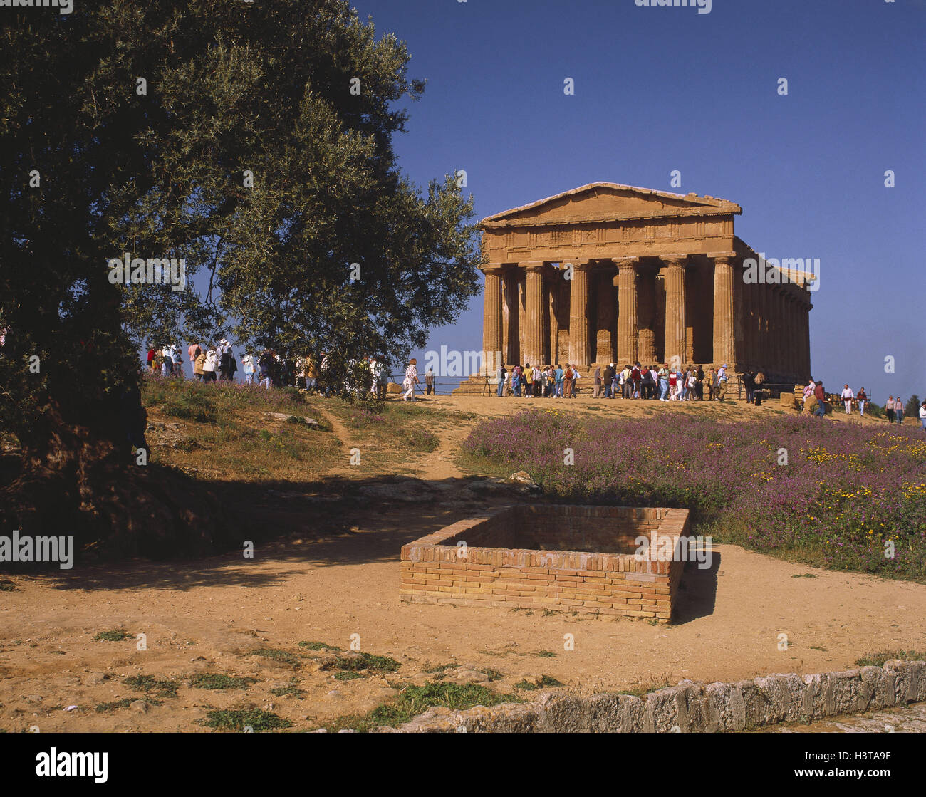 Italien, Sizilien, Agrigento, Concordia Tempel, Europa, Tempel, Person, Baum, Himmel, blau, außerhalb Stockfoto