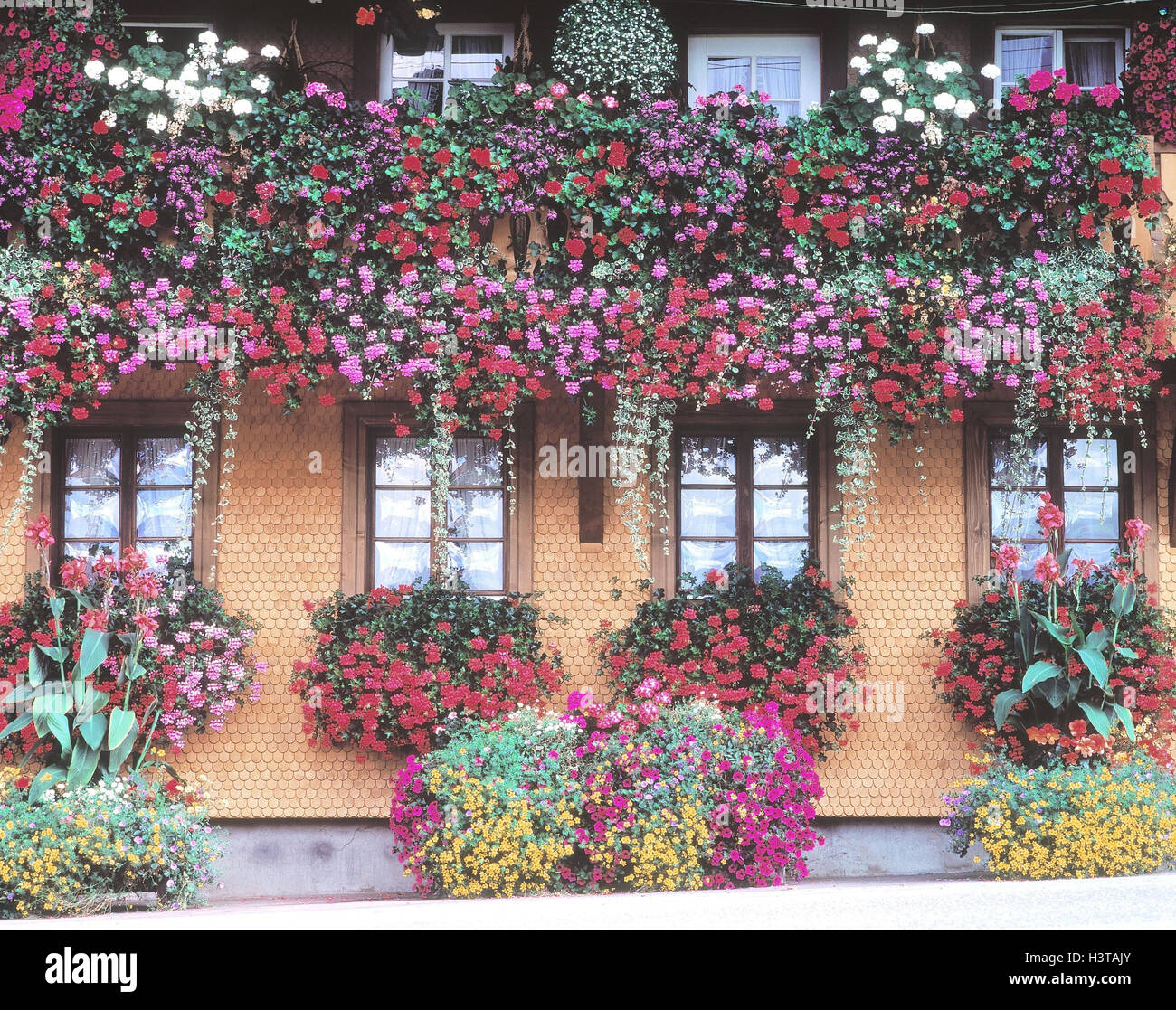 Deutschland, BadenWürttemberg, Schwarzwald, Haus, Detail, Fenster