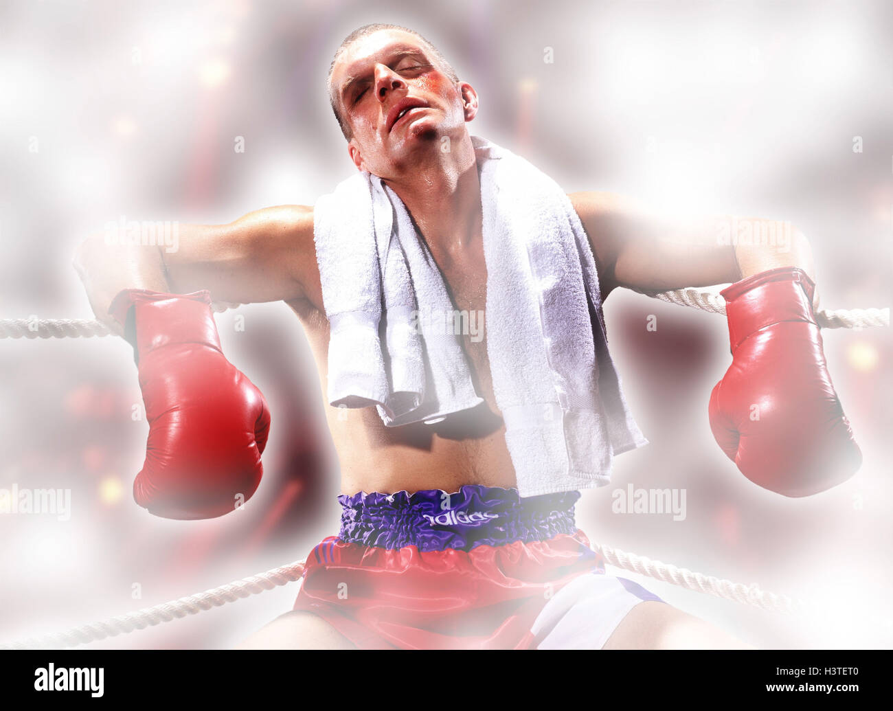 Die boxer Fotos und Bildmaterial in hoher Auflösung Alamy