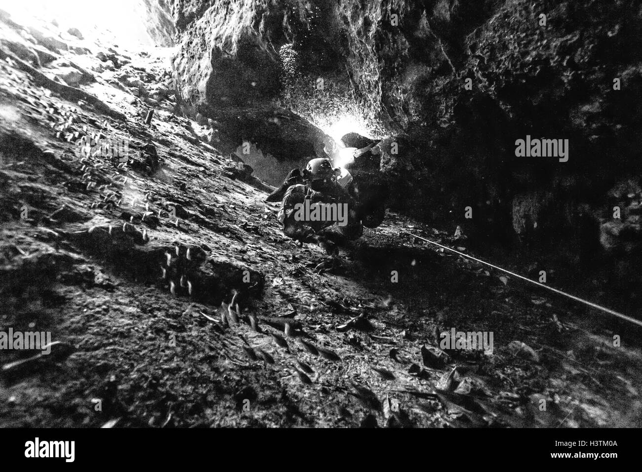 Cave Diver in Höhle Cenote, Yucatan Tulum Mexiko Stockfoto