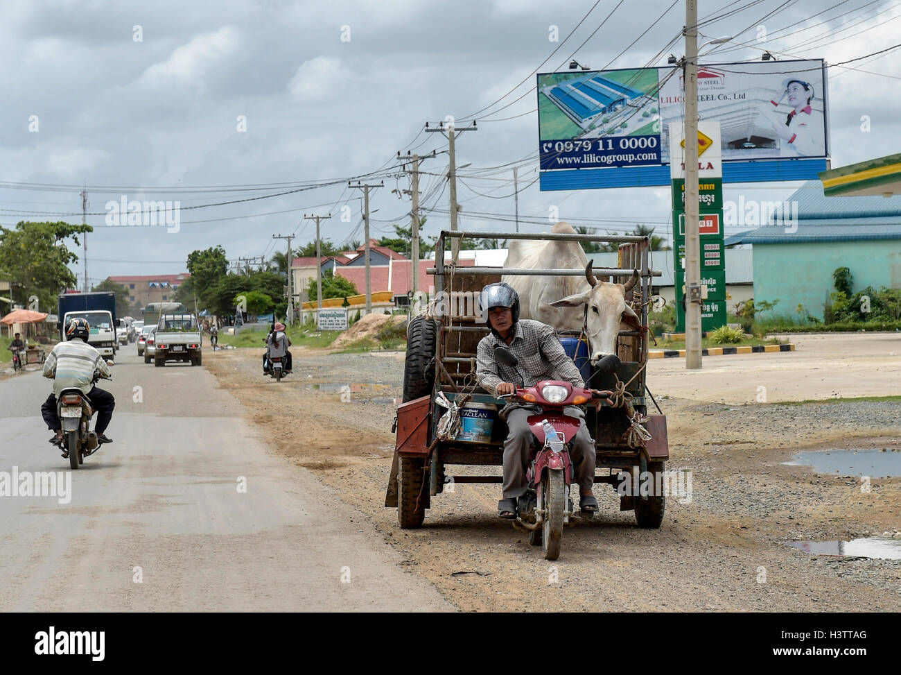 Mann mit Moped und Anhänger transportieren eine Kuh, Provinz Phnom Penh, Kambodscha Stockfoto