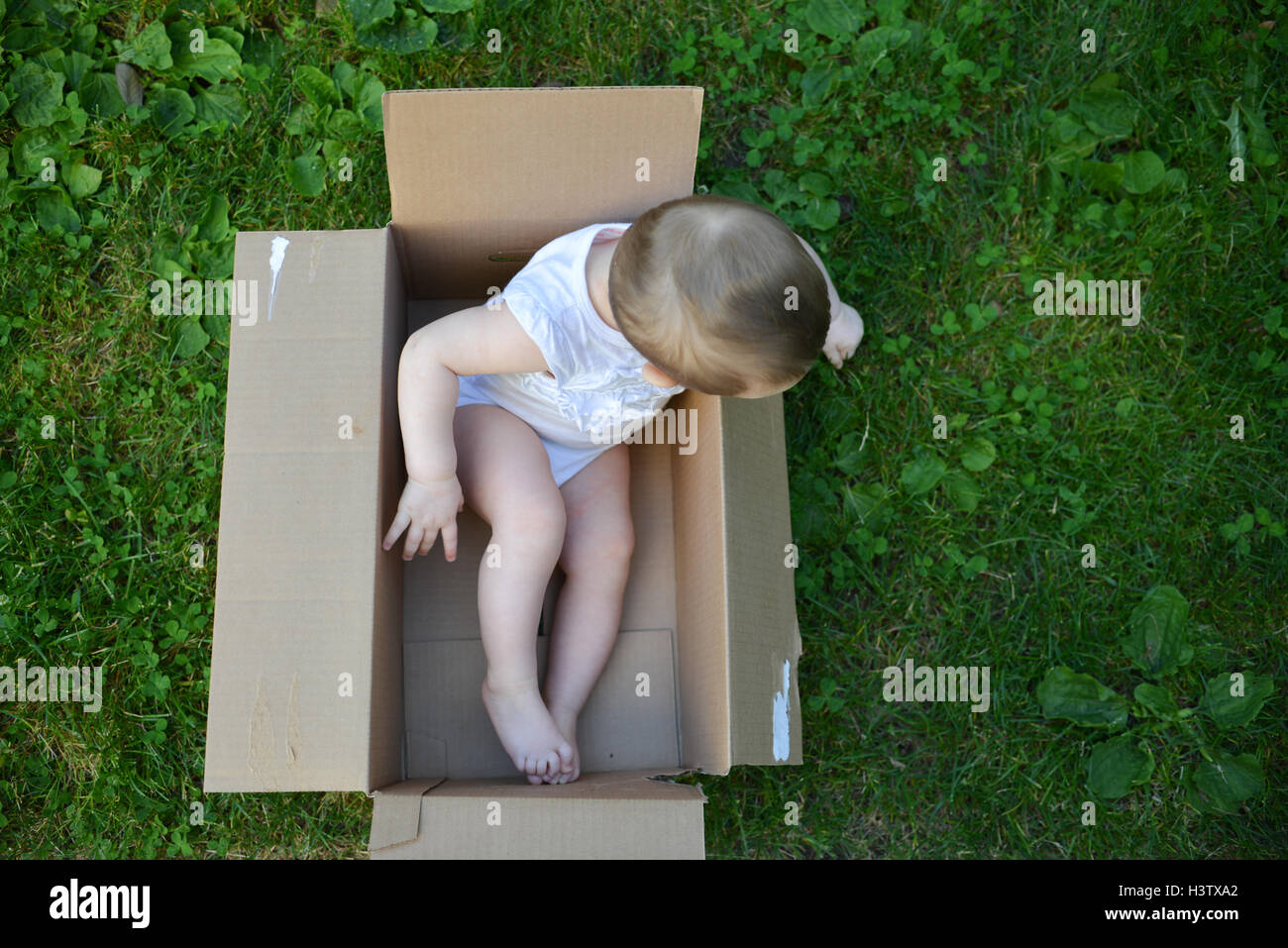 Overhead Schuss eines geschlechtsneutralen Babys in einem Pappkarton auf der grünen Wiese in der Sommersaison in weiß gekleidet. Stockfoto