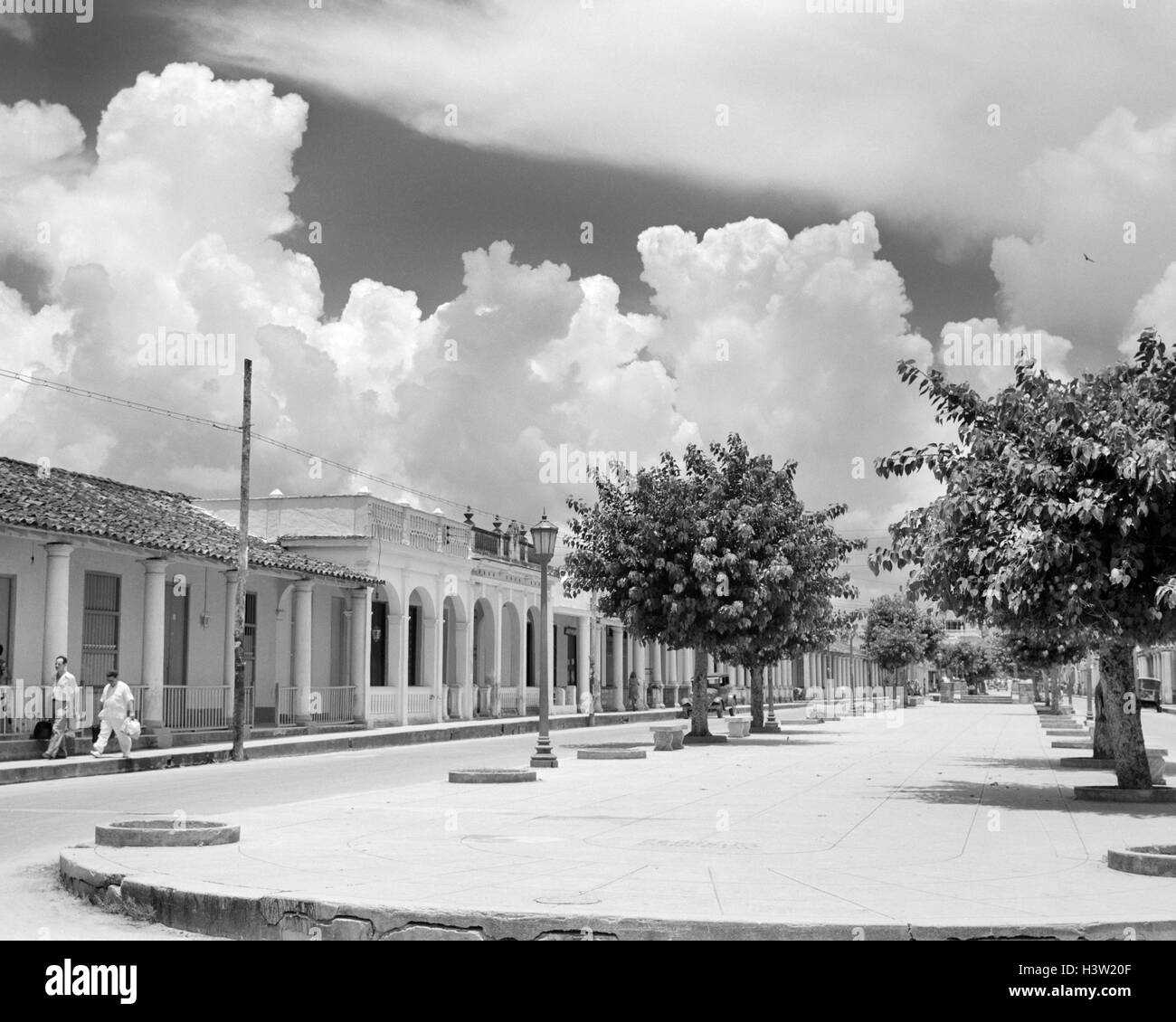 1950ER JAHREN STRAßENSZENE MIT BÄUMEN IN DER ZENTRALEN BOULEVARD PINAR DEL RIO PINAR DEL RIO PROVINZ KUBAS Stockfoto