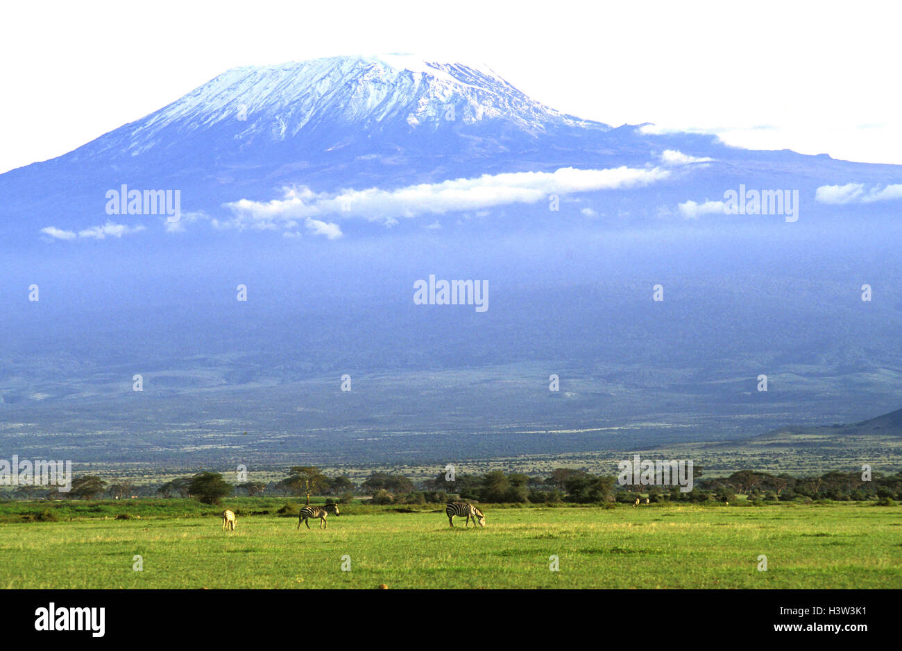 Mount Kilimanjaro, 5895 m, Stockfoto