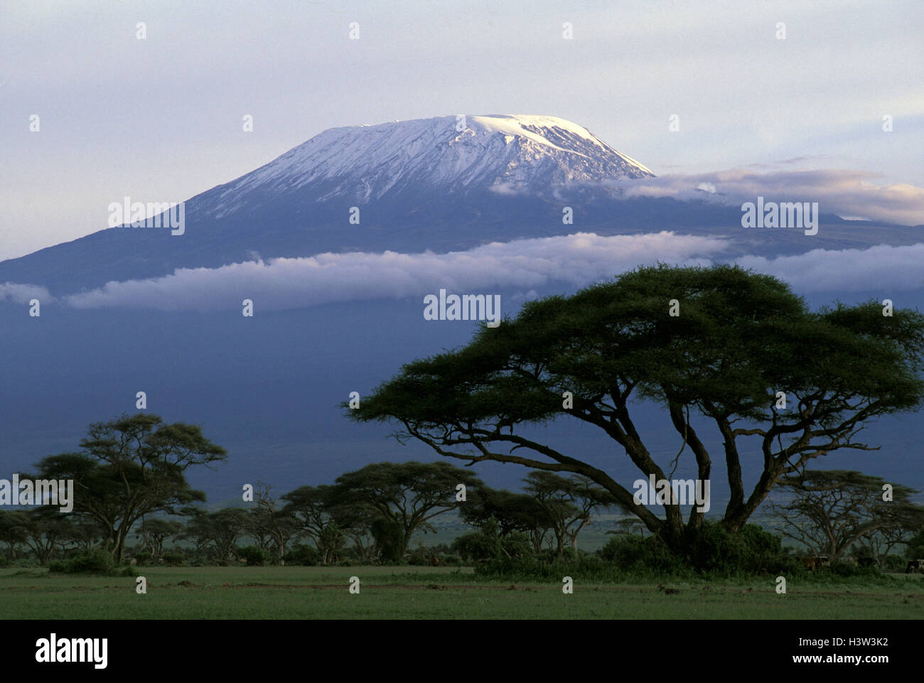 Mount Kilimanjaro, 5895 m, Stockfoto