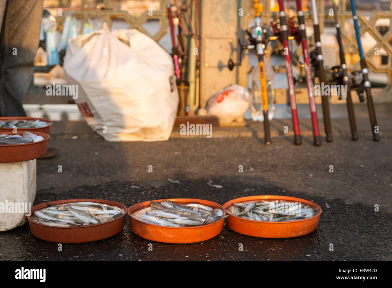 Fang des Tages auf der Galata-Brücke in Istanbul (Türkei) Stockfoto