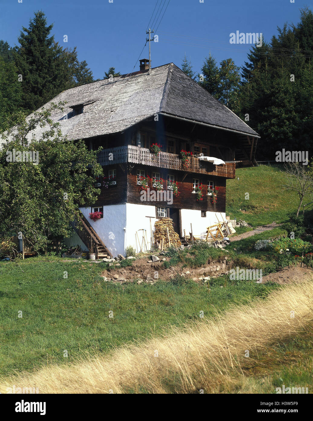 Deutschland Schwarzwald Todtmoos Bauernhaus Architektur Baustil Haus Dach Walmdach Schindeln Wohnhaus Ausserhalb Stockfotografie Alamy