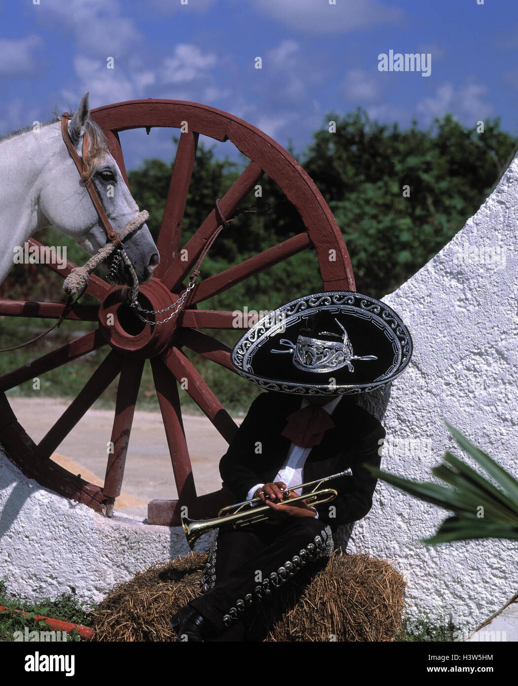 Mexiko, Mann, Kleidung, traditionell, Trompete, Wehrmauer, mager, es Schlaf, Wagenrad, Pferd, Detail, Mexikaner, Mariachi Musiker Trompete Spieler, Ruhe, Pause, Ruhe Stockfoto