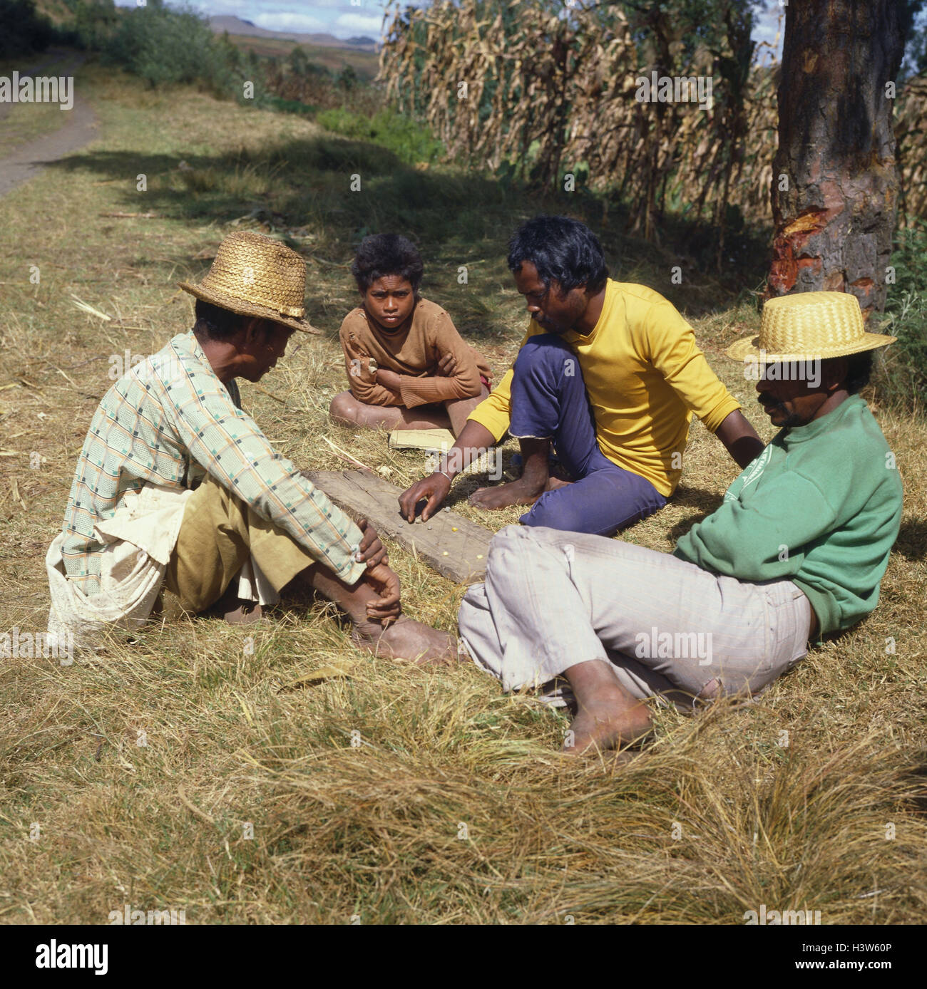 Madagaskar, Antsirabe, native Personen mit ein traditionelles Spiel "Fanorona", Männer, spielen, dort zu sitzen, Rasen, Wiese, Natur, Himmel blau, draußen Stockfoto