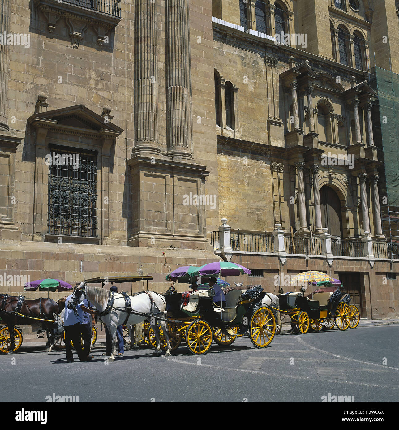 Spanien, Andalusien, Malaga, in der Nähe Kathedrale, die Pferdekutschen, Costa del Sol, Pferdekutsche, Beförderung, Transport der Mensch Stockfoto