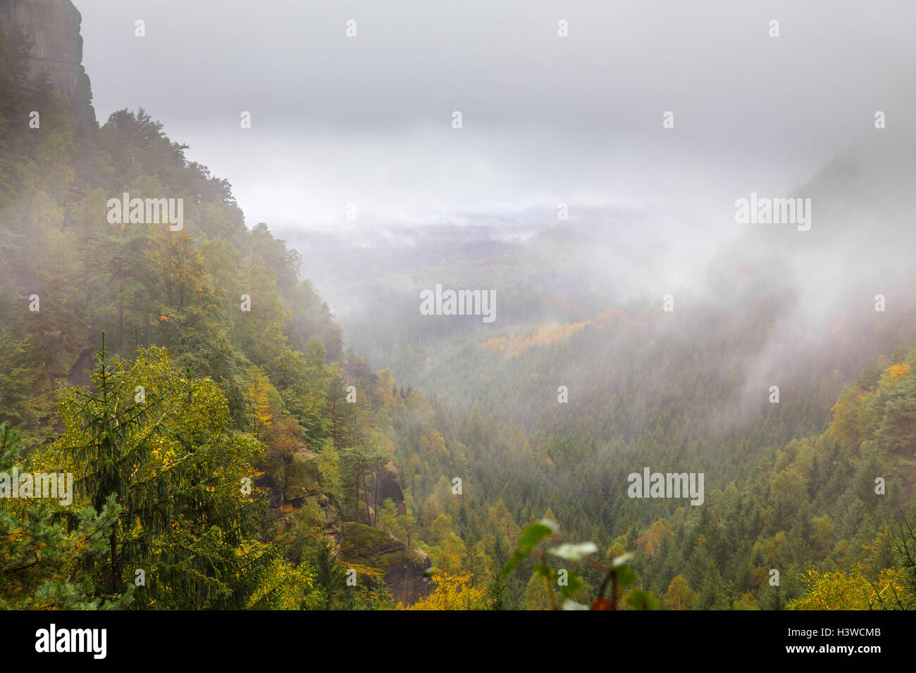 Neblige Sicht in die Böhmische Schweiz Nationalpark Ceske Svycarsko in der Nähe von Mezní Louka, Usti Nad Labem, Tschechische Republik Stockfoto