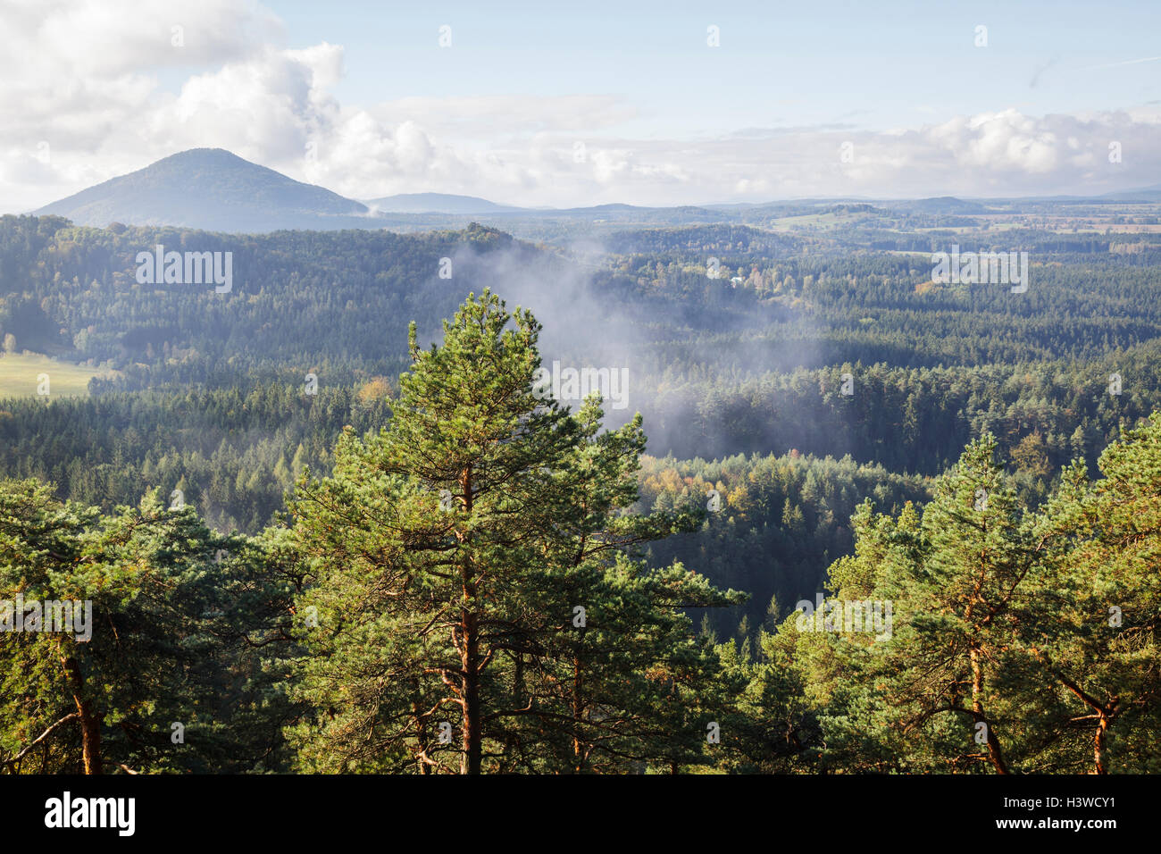 Blick vom Mala Pravcicka Brana über Böhmische Schweiz Nationalpark Ceske Svycarsko, Usti Nad Labem, Tschechische Republik Stockfoto