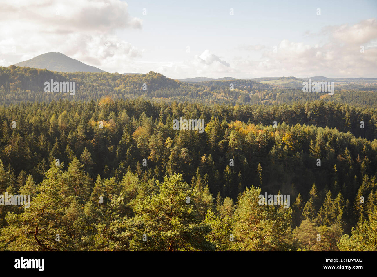 Blick vom Mala Pravcicka Brana über Böhmische Schweiz Nationalpark Ceske Svycarsko, Usti Nad Labem, Tschechische Republik Stockfoto