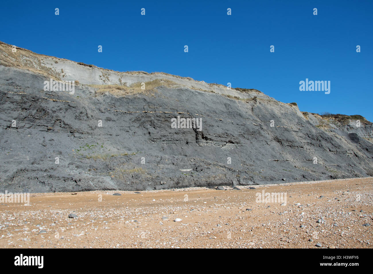 Die hervorragende, weltbekannte bereichert fossilen Klippen und Meer bei Charmouth, Dorset, England. Stockfoto