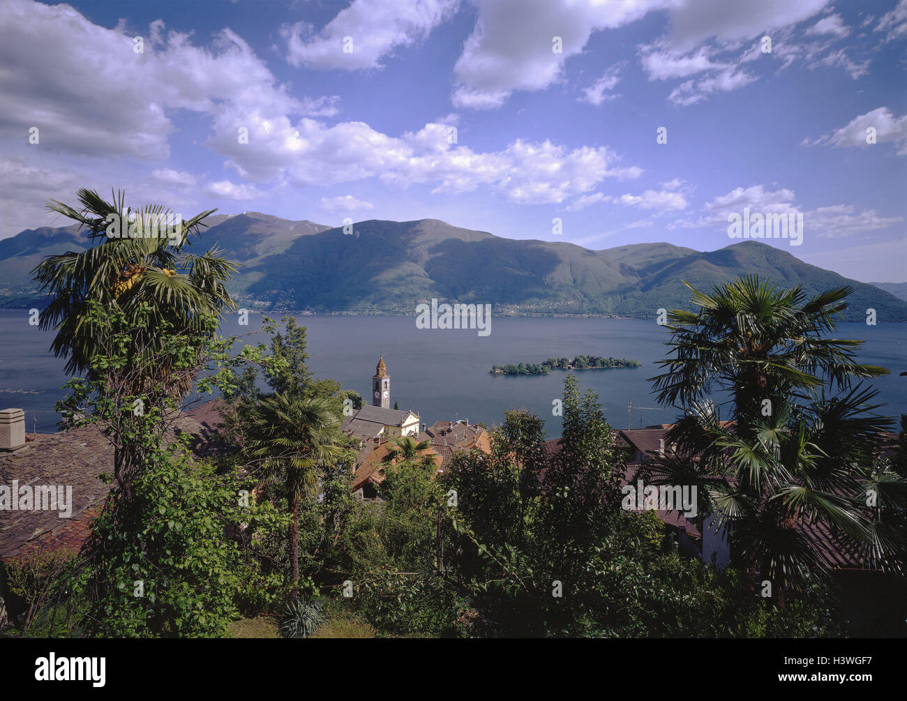 Schweiz, Tessin, Ronco Sopra Ascona, lokale Ansicht, Lago Maggiore, Brissago Inseln, Übersicht, Europa, Kanton, Ronco, Dorf, Ort, Platz, Ortskern, Blick auf die Stadt, Turm, See, mediterranes Klima, Vegetation, mediterran, Hintergrund, Mountain la Stockfoto