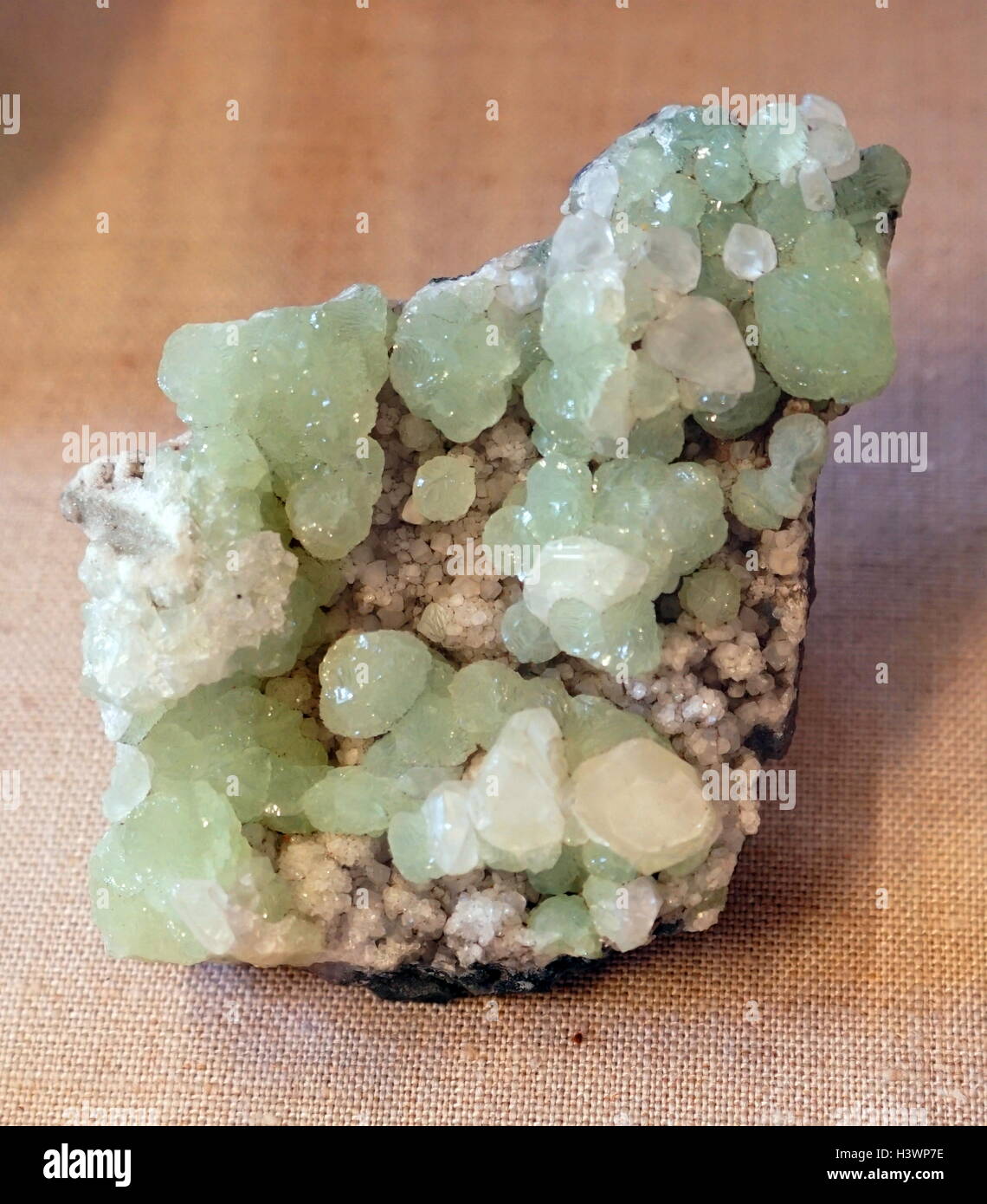 Beispiel der Kruste von Kristallen auf Aktinolith, ein Silikat-Mineral Amphibol. Italien. Vom 21. Jahrhundert Stockfoto