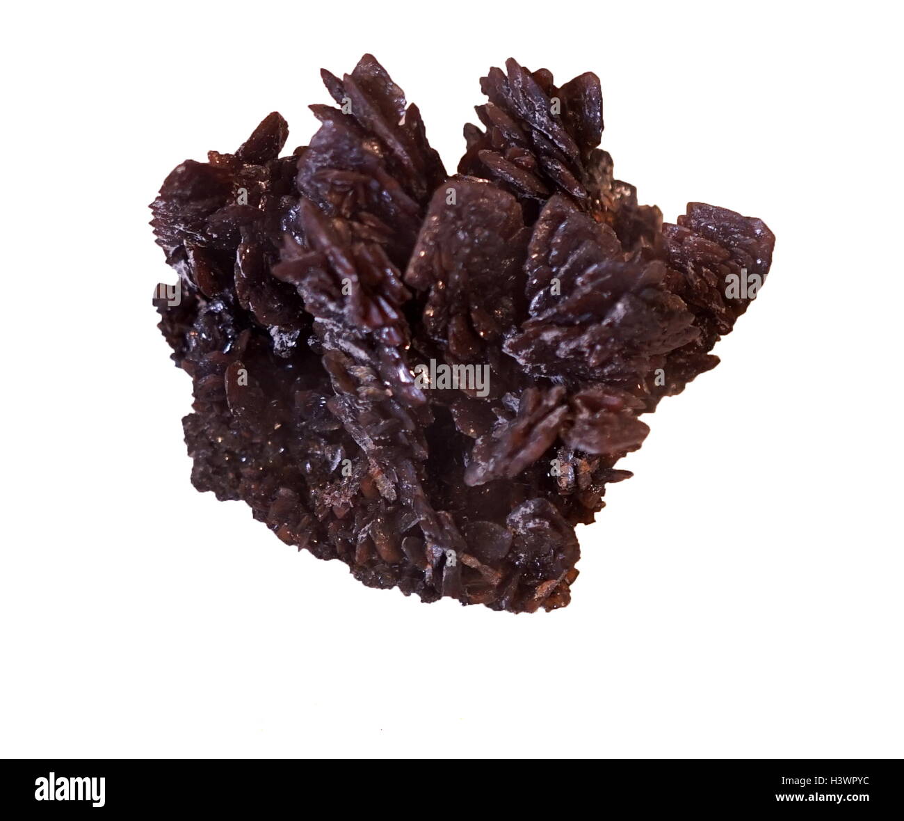 Eine Probe des Descloizite, eine seltene mineralische Art, bestehend aus grundlegenden Blei und Zink Bismutvanadat. Vom 21. Jahrhundert Stockfoto