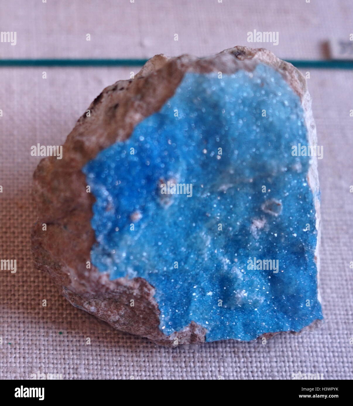 Eine Probe des Kinoite, ein leichtes Blau Kupfer Silikat-Mineral. Vom 21. Jahrhundert Stockfoto