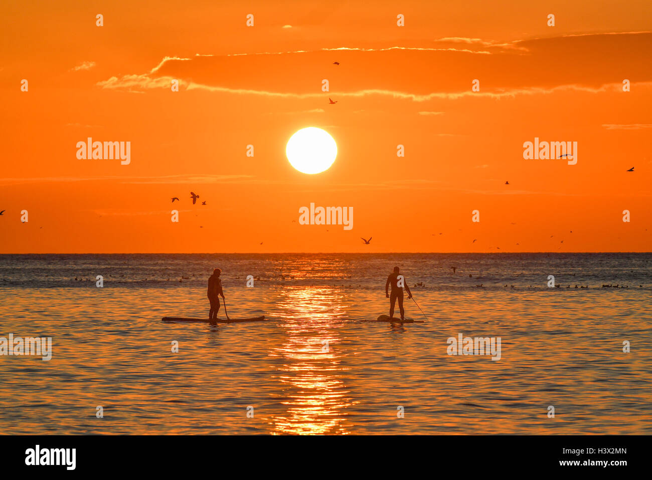 Aberystwyth Wales UK, Mittwoch, 12. Oktober 2016 UK Wetter: am Ende noch einen feinen Tag fast ohne Unterbrechung warme Herbstsonne an der Westküste von Wales, Paddel-Boarder auf das flache Meer genießen das Spektakel eines spektakulären Sonnenuntergangs über Cardigan Bay, Ceredigion UK Photo Credit: Keith Morris / Alamy Live News Stockfoto