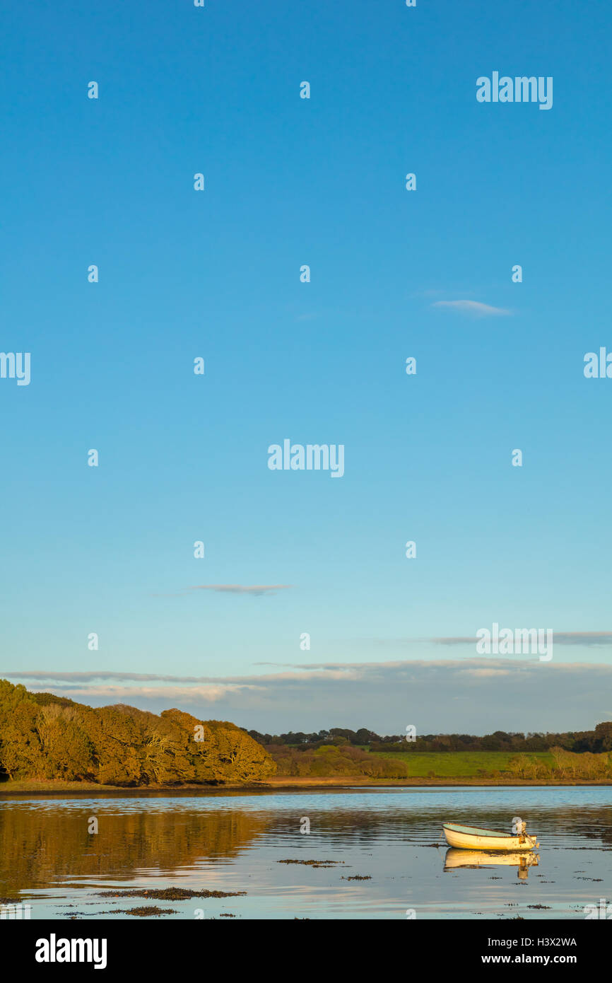 Der Cleddau Mündung am Haken in der Nähe von Haverfordwest, Pembrokeshire, wie die Sonne untergeht im Oktober. Stockfoto