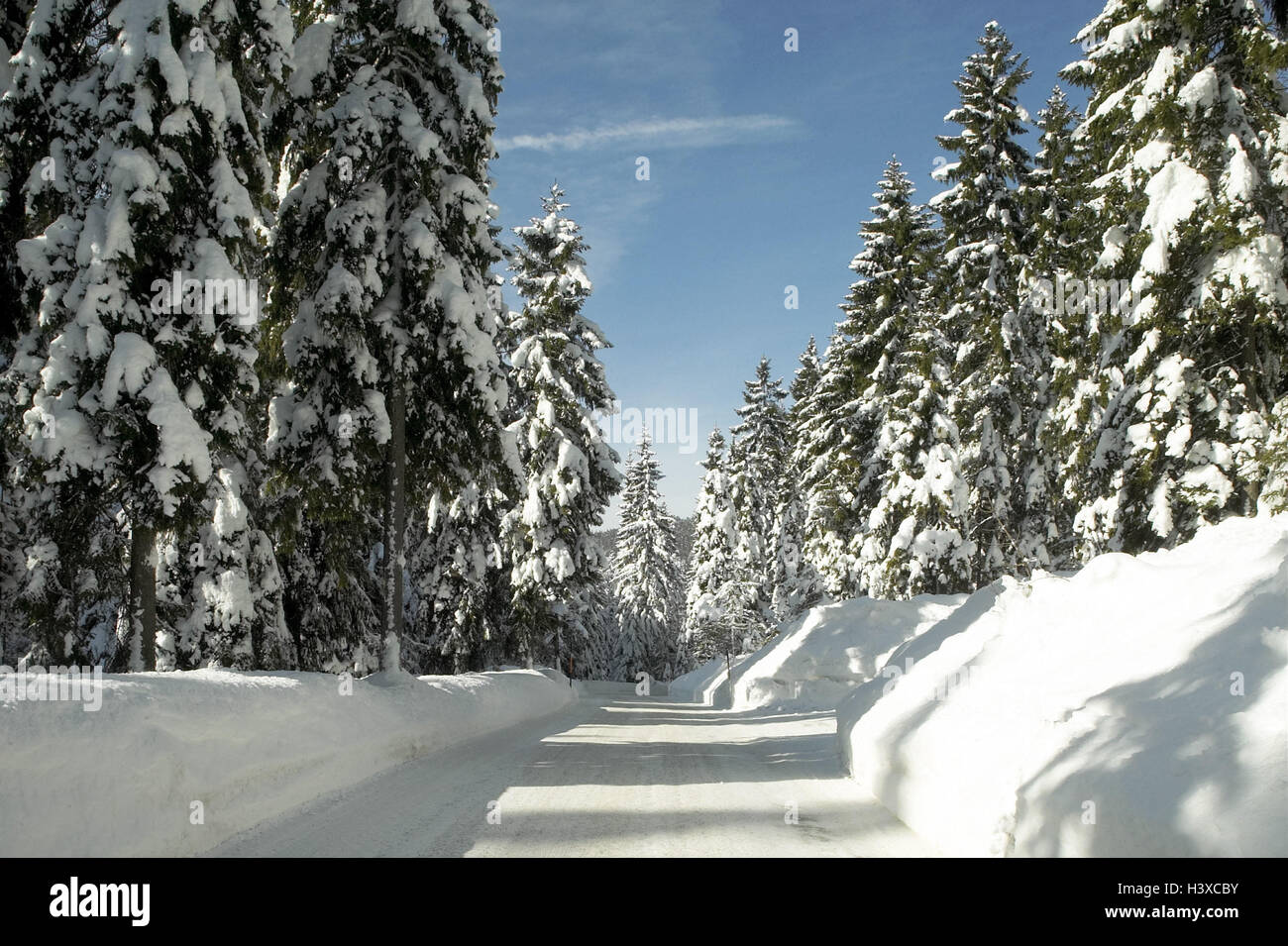 Holz, Landstraße, Winter Nadelwald, Bäume, Koniferen, Straße, Forststraße, Verkehrsweg, Verkehr Anlage, schneebedeckte Straße, Pflaster, Schnee, Schnee, Glätte, winterliche, street Beziehungen, Verkehrsbedingungen, Glatteis, Eis, Schnee, Schnee smo Stockfoto