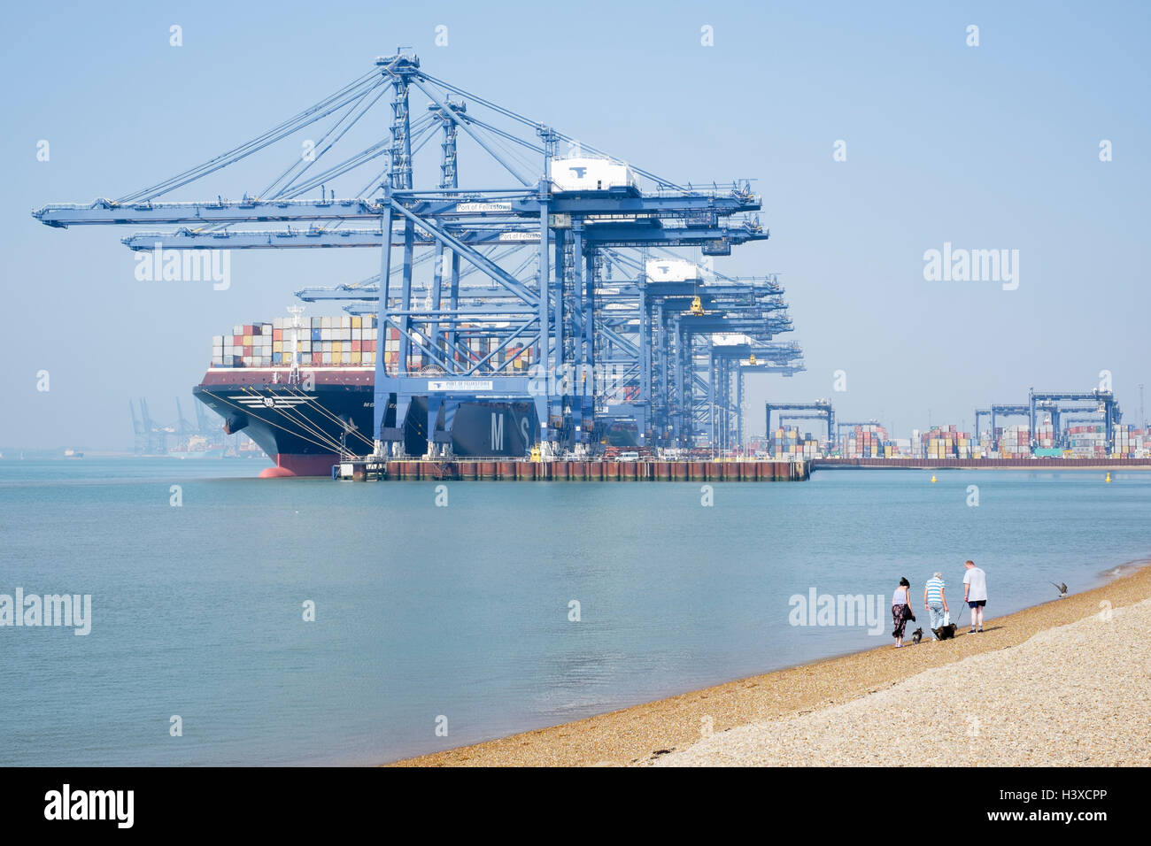 Menschen Spaziergang ihre Hunde am Strand mit dem MSC Venedig Container-Schiff in den Hafen von Felixstowe im Hintergrund verankert. Stockfoto