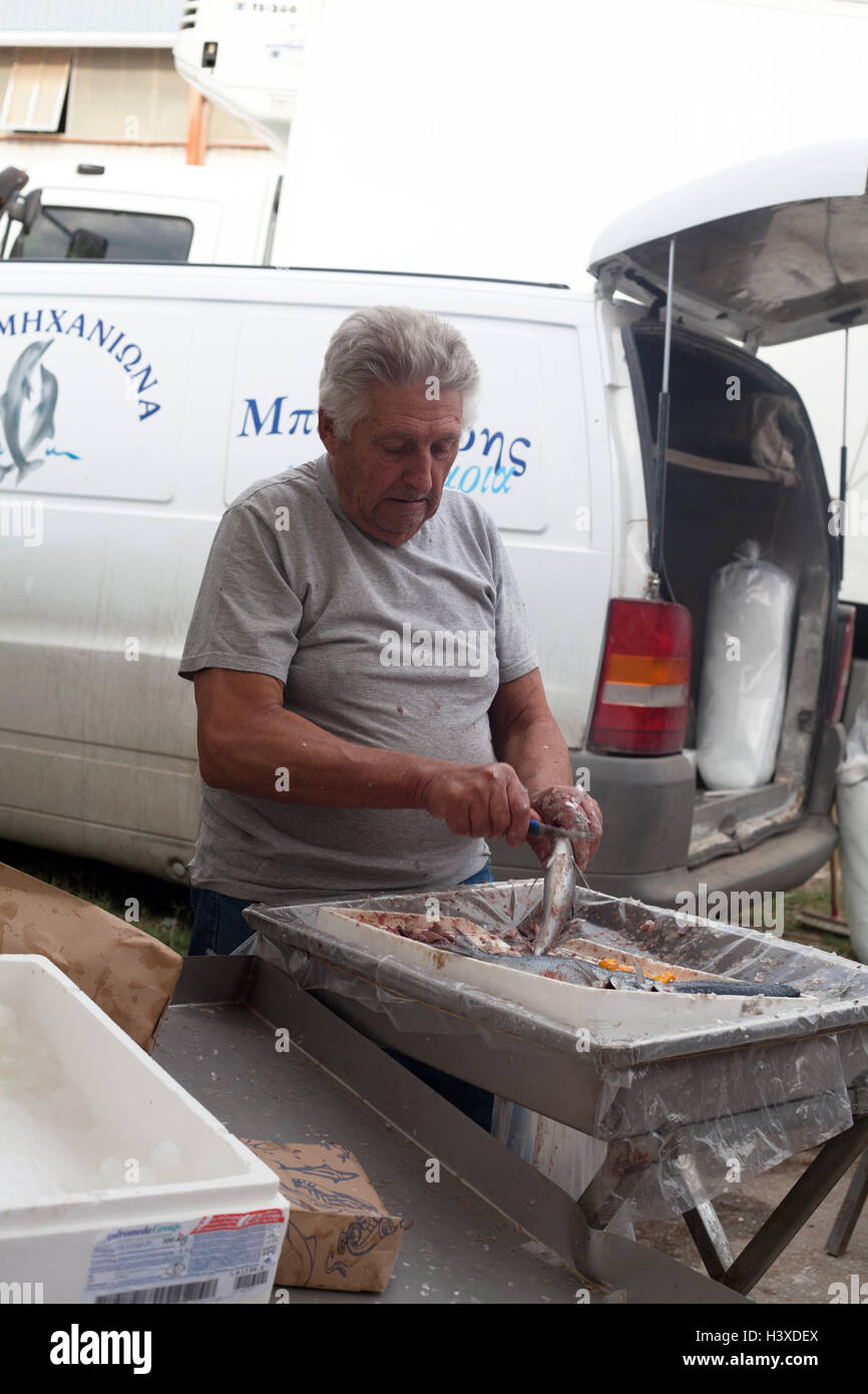 Mann ausnehmen einen frischen Fisch mit einem Messer auf den wöchentlichen Markt (mittwochs) in Nea Moudania, Chalkidiki, Mazedonien, Griechenland Stockfoto