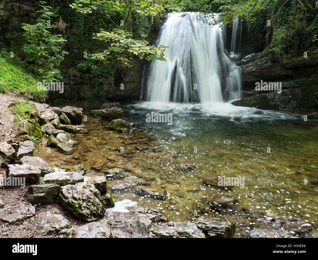 Janets Foss Wasserfall auf Gordale Beck in der Nähe von Malham Yorkshire Dales England Stockfoto