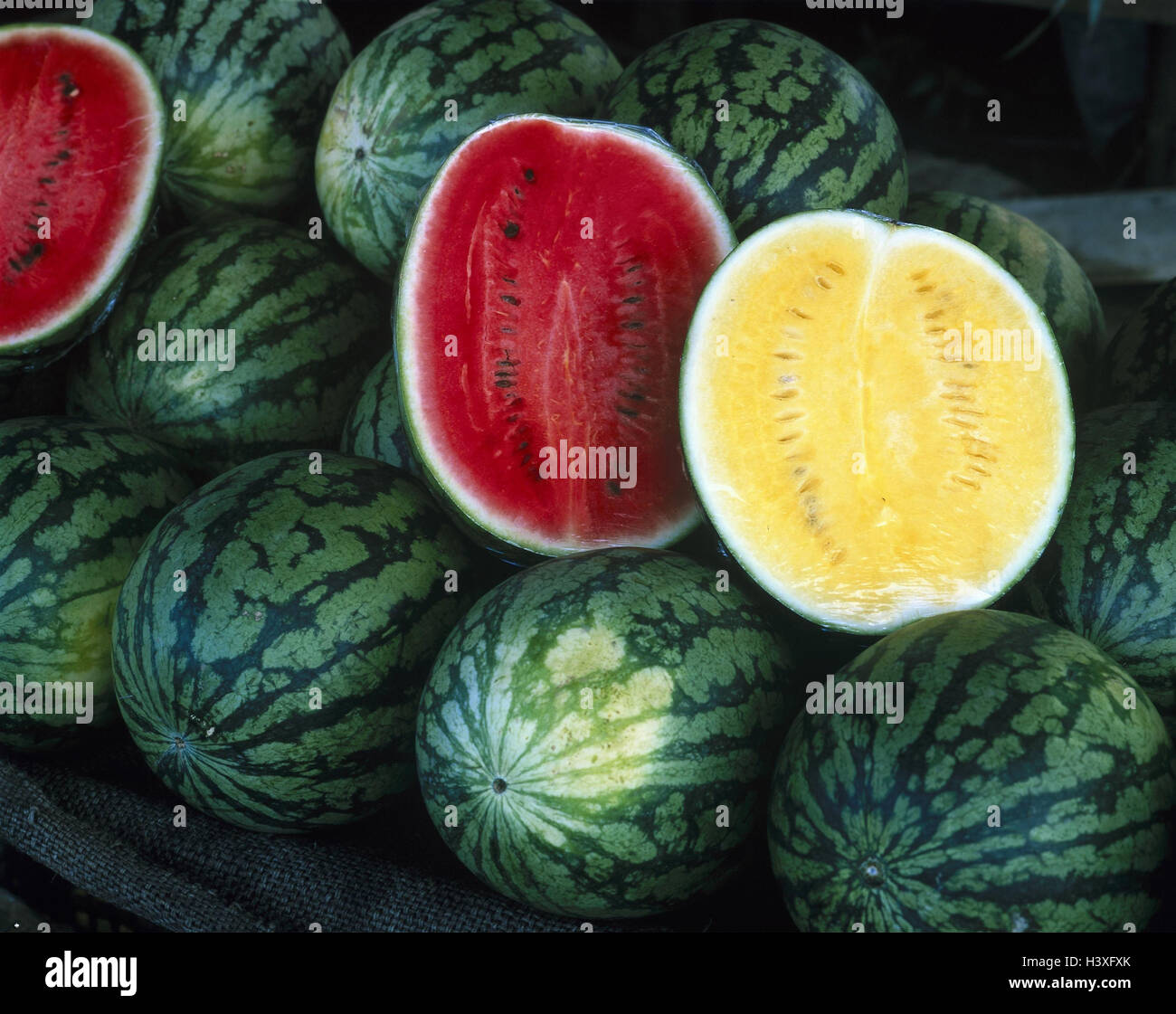 Wassermelonen, Wassermelone, gelb, rot, Hälften, Kürbis Pflanzen, Früchte, Frucht, saftig, erfrischend, Stillleben Stockfoto