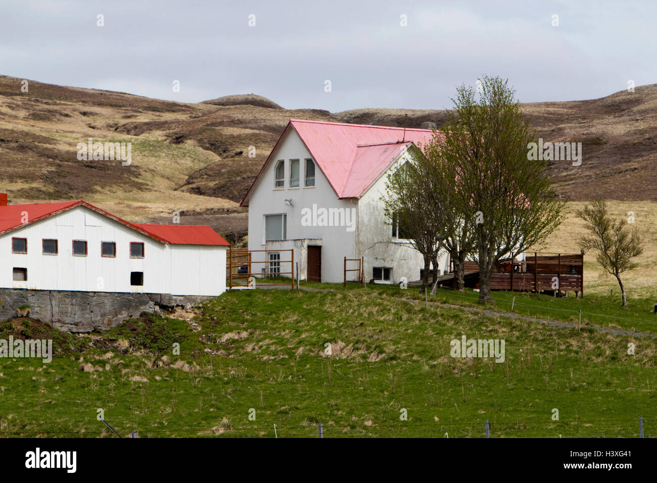 isländischer Bauernhof Gehöft Bauernhaus mit Scheune roten Dächern Island Stockfoto