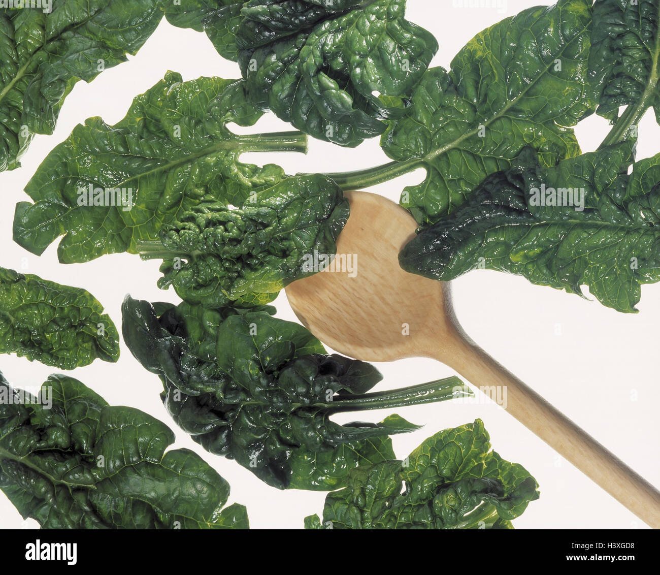 Holzlöffel, Blattspinat, Spinacia spec ruhiges Leben, Spinat, Spinacia, die Gans Fuß Pflanzen, Spinat Blätter, Blätter, Gemüse, grün, Lebensmittel, Ernährung, gesund, reich an Vitaminen, Studio, Ausschneiden Stockfoto