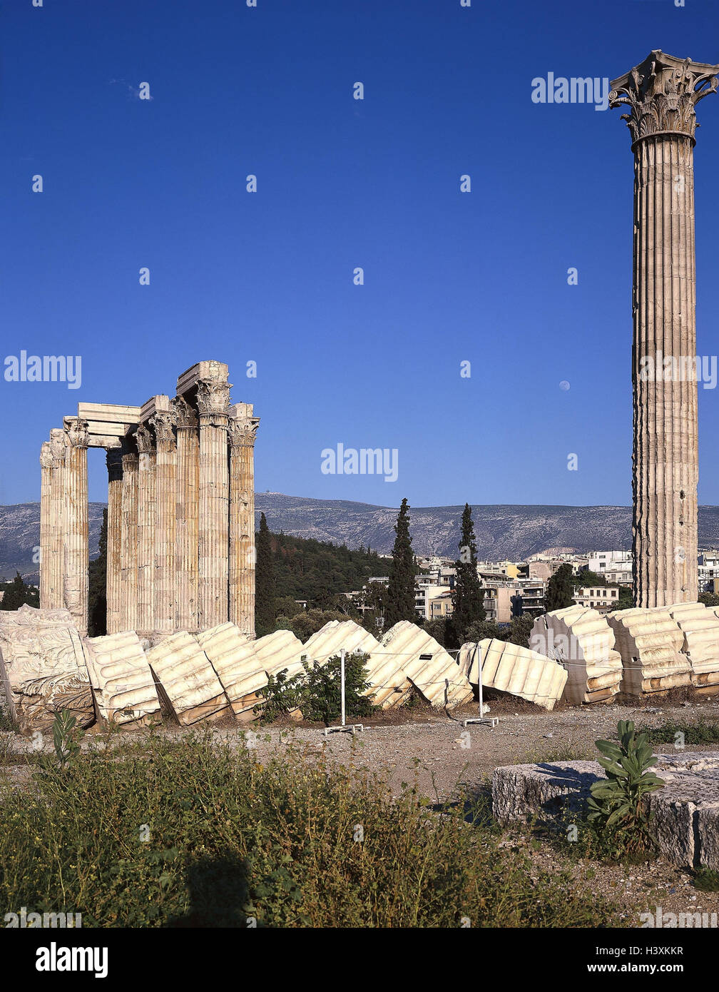 Griechenland, Athen, Olympieion, Tempel des Zeus Tempel Ruine, Europa, Halbinsel Attika, Kapital, Zeus Tempel, Stil Olympiou Dios, Tempel, Ruine, Pfeiler, Säulen Tempel, Struktur, Sehenswürdigkeit, Architektur, Kultur Stockfoto