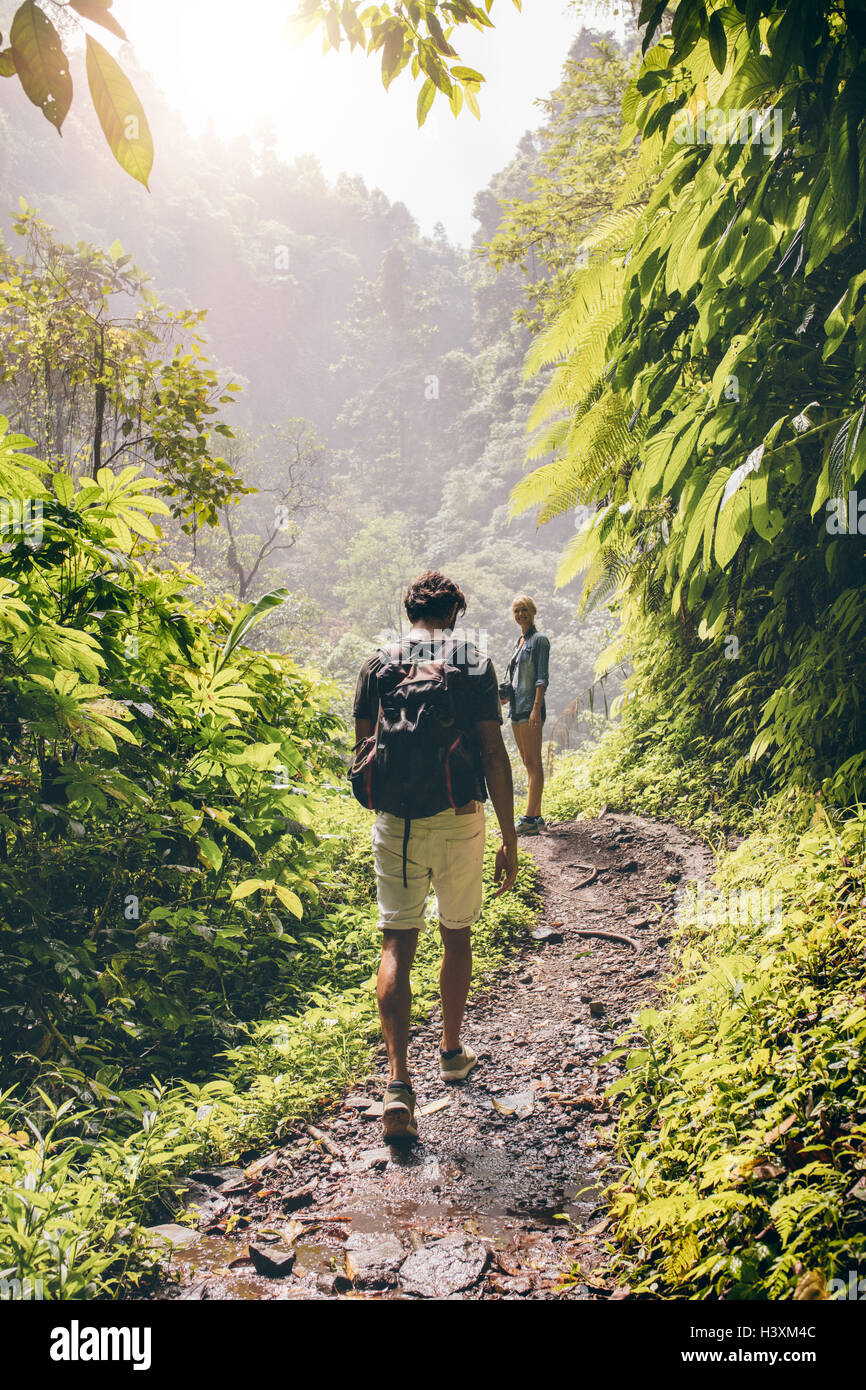 Rückansicht Aufnahme des jungen Paares zu Fuß einen Weg durch den Baum. Mann und Frau auf Waldweg wandern. Stockfoto