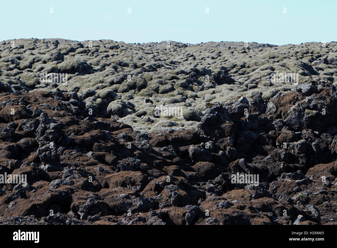 Moos bedeckt Lava Geröllfelder in der Nähe von Kirkjubaejarklaustur Island Stockfoto