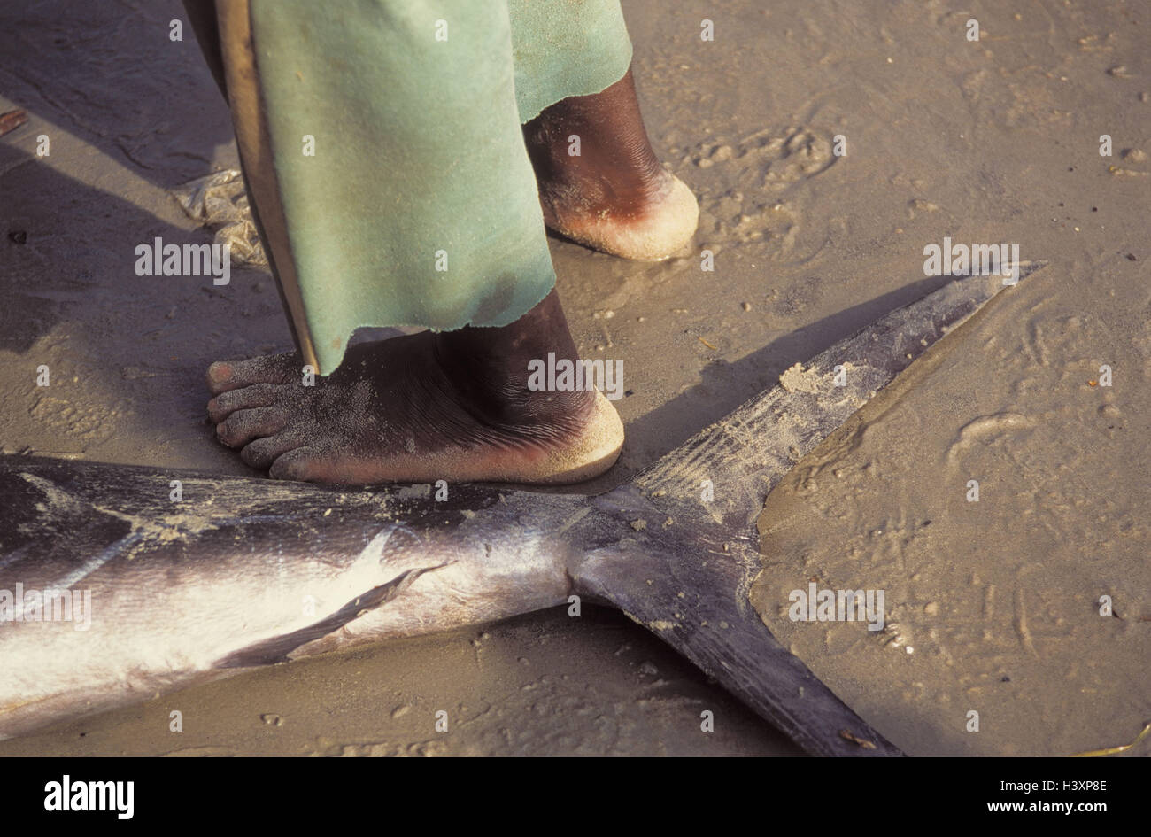 Fuß sklave