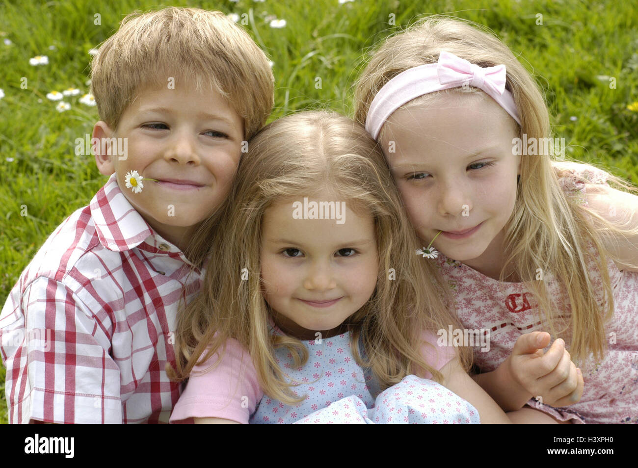 Wiese, Mädchen, junge, Lächeln, Sit, Gruppenfoto, Portrait, Kinder, Freunde, Geschwister, drei, glücklich, zusammen, Kindheit, glücklich, Gänseblümchen, frech, schelmisch, Zusammenhalt, Kind Portrait, Sommer, Freizeit Stockfoto