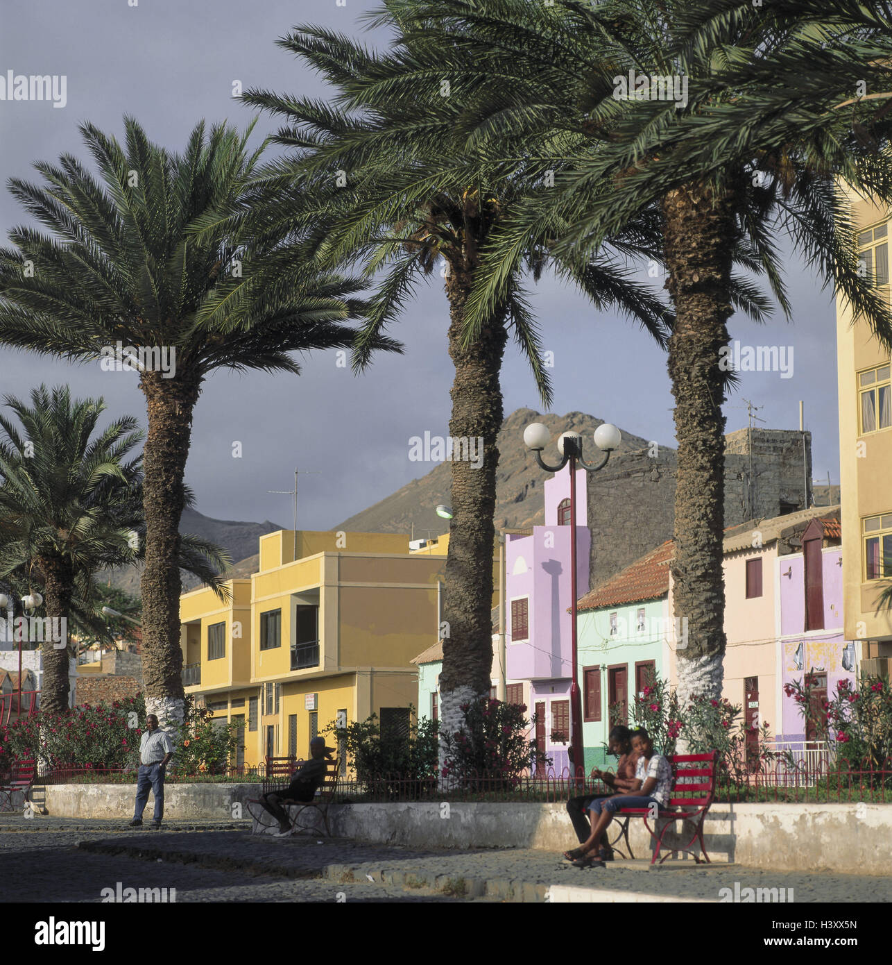 Kap-Verde Inseln, Island, São Vicente, Mindelo, Rua de Coco, Wohnhäuser, hell, Palmen, Kap Verde, Kapverden, Barlavento, Straßenszene, Häuser, Fassaden, bunt, außerhalb Stockfoto
