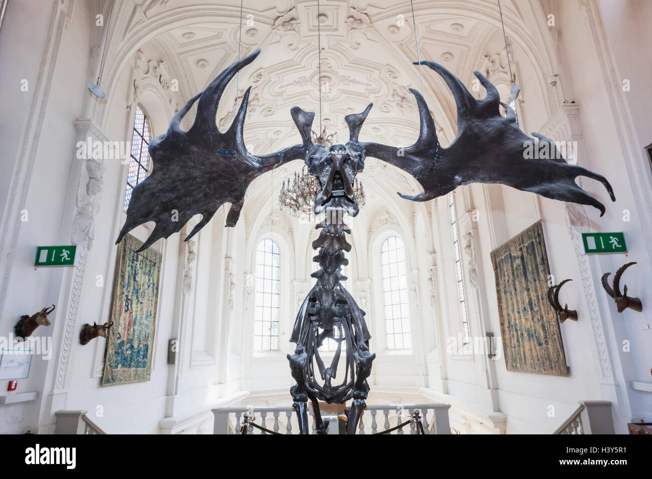 Deutschland, Bayern, München, dem deutschen Jagd- und Fischereimuseum (Deutsches Jagd-Und Fischereimuseum) Stockfoto