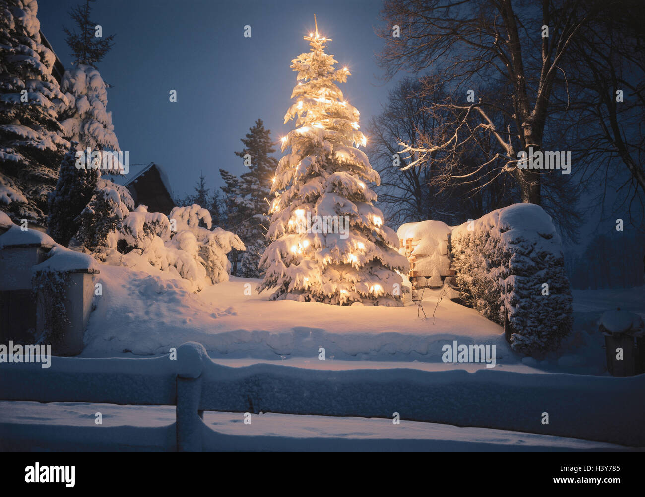 Weihnachtsbaum, Illuminateds, Abend, verschneiten Winterlandschaft,  Weihnachten, Yule Flut, Bäume, Baum, Lichter, Winter, Weihnachtsbaum,  Stimmung, Wintermärchen, Romantik, Weihnachten, Winter, Weihnachten,  Idylle, Ruhe, Ruhe, Nacht Stockfotografie - Alamy