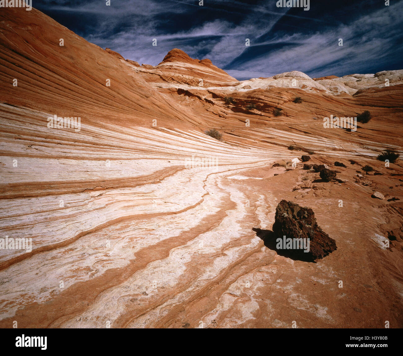 USA, Utah, Paria Canyon, Vermillion Cliffs, Wildnis, "The Wave", North Coyote Flunder, Nordamerika, Vereinigte Staaten, nationale Naturreservat, Ort von Interesse, Natur, Fels, Galle Formationen, Rock, Felsformationen, Sandstein, Sandstein, Natur Formen, Kurs, Geologie, Erosion, Gesteinsschichten, Schichten, Konzeption, Linien, Filme, Stockfoto