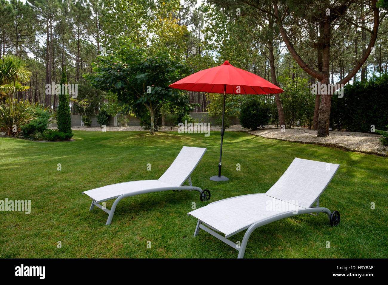 Zwei weiße Stoff-Lounge-Sesseln und einem roten Sonnenschirm auf einer Wiese im Garten Stockfoto