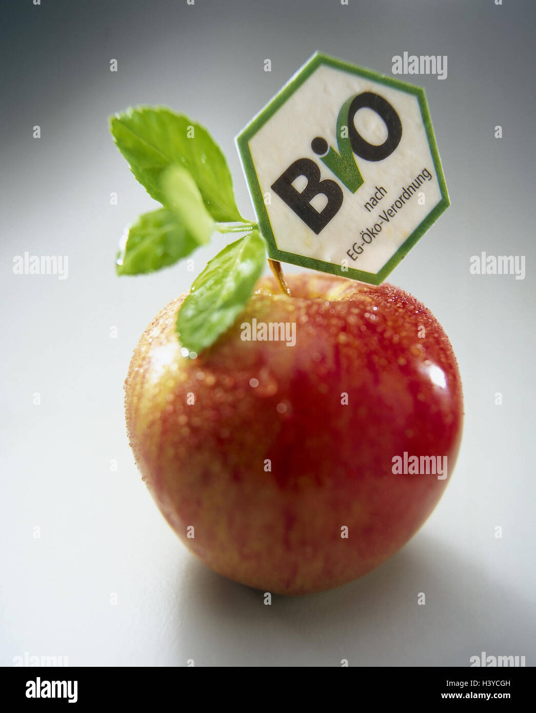 Apfel, Bio-Logo, EC Green Order, Stillleben, Produktfotografie, Studio, Bio-Label, Etikett, Logo, Biologie, grün, Produkt, Kontrollen ökologische Produktion, Bestellung, akkreditiert, Bio-Siegel, Siegel, Stempel Beweis, Qualitätssiegel, Informationen, Herkunft, Qualität, Lebensmittel, Essen, Stockfoto